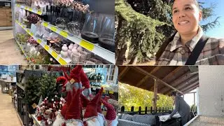 Ежедневен влог, пазаруване и уют