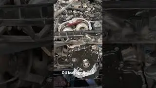 Audi Repair and maintenance