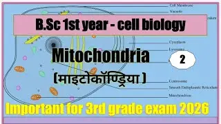 Origin & function of mitochondria @MKclass09 