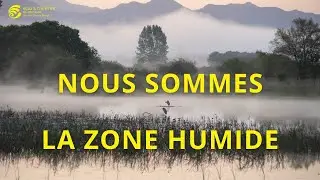 Nous sommes la zone humide