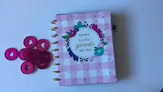 Transformer Planner: expander Discs