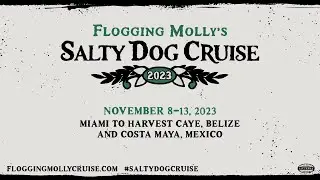 2023 Flogging Molly's Salty Dog Cruise Recap