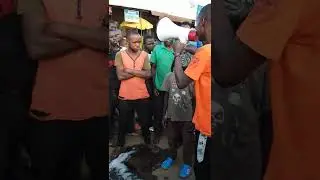 jenex company  at work