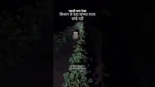 Pahadi Tiger Dekha Khet M || Bahut Khatarnaak Bagh || Uttarakhand India || Pahadi Hills