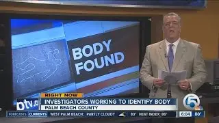 Body pulled from canal in South Bay