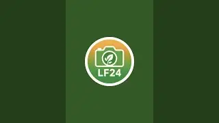 life focus 24 is live