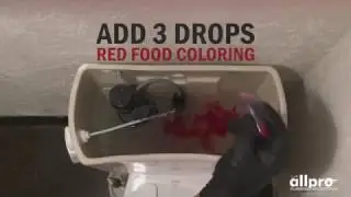 How to fix a leaking toilet - Will's All Pro