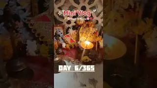 My Day Grocery Shopping 🛍️#minivlog #groceryday #myday #dailyvlog #groceryshopping #ytshorts #vlog