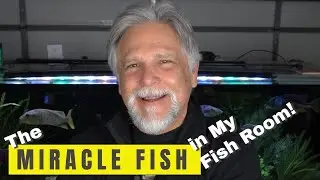 These Fish Suffered but *Survived Impossible Circumstances!*