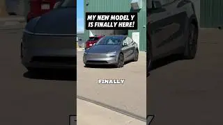 My New Model Y Launch Series Is HERE! 😳🤯