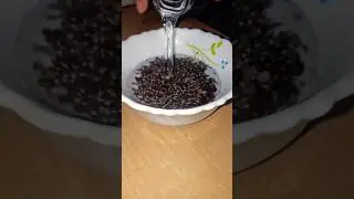 chia seeds drink,helps in female fertility, constipation,periods #healthy #drink #chiaseed #home