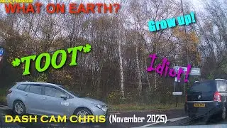 What on Earth? (Dash Cam Compilation November 2025)