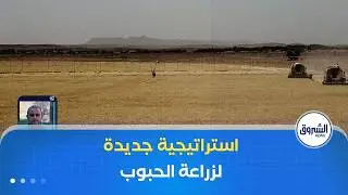 تتبع المسار التقني لزراعة الحبوب لم يعد خيارا ثانويا بل استراتيجية لضمان الاكتفاء الذاتي
