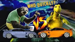 Sloth vs Turtle who is faster in racing? #sloth #turtles