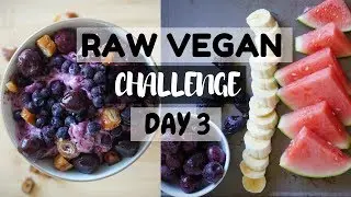 RAW VEGAN CHALLENGE DAY3//RETO CRUDI-VEGANO DIA 3