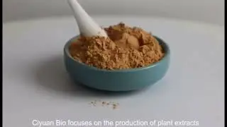 Cuscuta Chinensis Extract