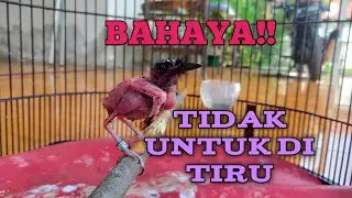 BAHAYA!! Tidak untuk di tiru...!!!