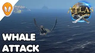 Whale Attack | ATLAS Let's Play Ep 62