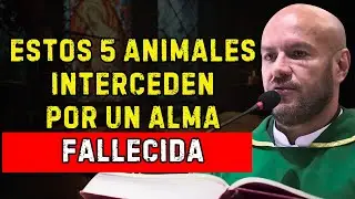 ESTOS 5 ANIMALES INTERCEDEN POR UN ALMA FALLECIDA — ¡NADIE LO SABE! |  Padre Freddy Bustamante
