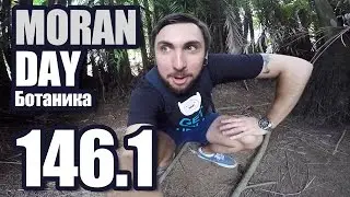Moran Day 146.1 - Ботаника
