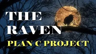 Plan C Project - The Raven (Official Music Video)