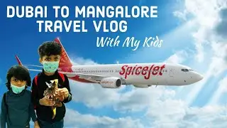 Travelling With My 2 Boys | Dubai to Mangalore Travel Vlog | My 7month Pregnancy Travel with my kids
