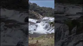 Pykara Waterfalls Ooty 😍#ooty #viral #pykara #waterfalls #trending #cousinsdayout #cousins #explore