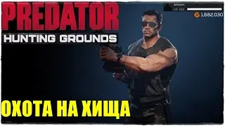 Predator Hunting Grounds🔺ТОПОВЫЕ БИЛДЫ! DLC DUTCH (1987)🔥ЛУЧШАЯ ПРОКАЧКА! СОВЕТЫ НОВИЧКАМ! ПАТЧ 2.03