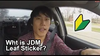 True Meaning of JDM Leaf Sticker - Vlog #2