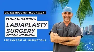 Labiaplasty Surgery Under *General* Anesthesia with Dr. Tal Roudner