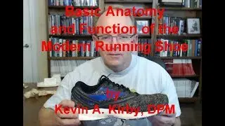 Basic Anatomy and Function of the Modern Running Shoe