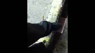 Souljia boy diss cpc juice gang