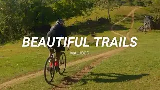 Cebu's Most Beautiful Trails // Malubog Trail