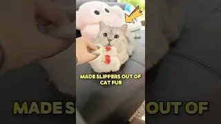 The owner made cat fur products for her baby