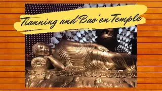 Tianning and Nanjing Temples, China with Toddler
