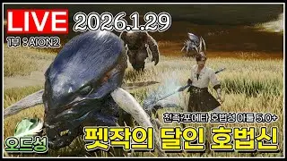 펫작의 신 호법신 등장 #검은사막_2026.01.29