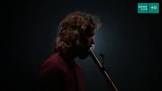 Sónar+D CCCB 2020 Music: 
