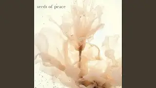 Valerian (Noise)