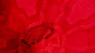 RENGAR JHİNİ SEVMİYOR ALLAHU EKBER REMİX