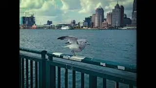Windsor, Ontario in 4K &ndash; Canada&rsquo;s Border City Cinematic video
