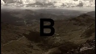 Side B - NPCat