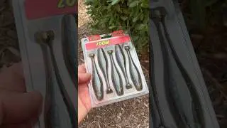 Have you seen these yet⁉️ Uni-Toad from Zoom! 🔥 #fishing #bassfishing #shorts