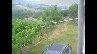 HAMAMLI