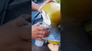The Most Satisfying Coconut Experience