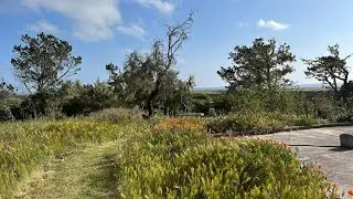 Purissima Cemetery: A Natural Burial Preserve and Park Right Outside San Francisco, California.