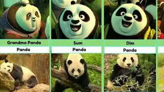 Kung Fu Panda 2 & 3 Characters in Real Life | Real Animals Comparison