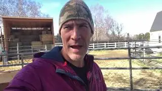 How to Safely Use Heat Lamps For Your Baby Goats