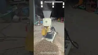 Wood Pellet Machine in Action &ndash; Efficient Biomass Pellet Production for Sustainable Energy!