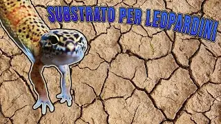 Il SUBSTRATO PERFETTO per LEOPARDINI?