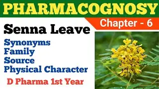 Pharmacognosy Chapter 6 / D Pharma 1st Year / Senna Leaves / Pharmacy #pharmacist #findyourjob